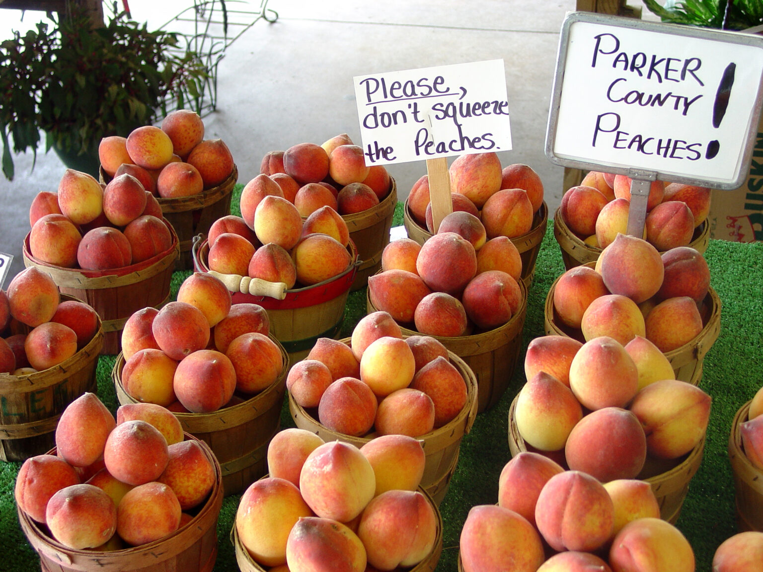 Parker County Peach Festival Expands Focus Daily News