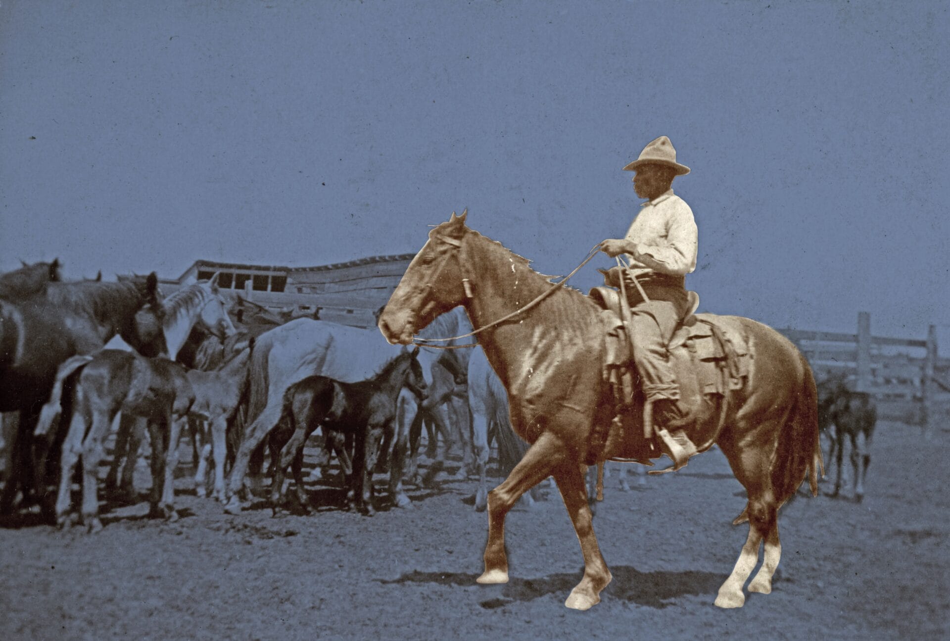 Black Cowboys Exhibition at African American Museum, Dallas